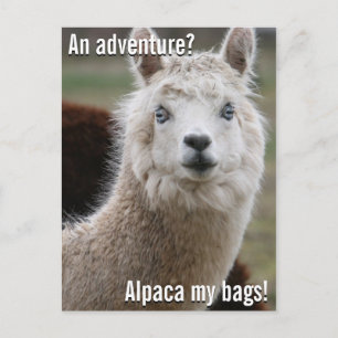 Carte Postale Alpaca My Bags for Adventure Postcard