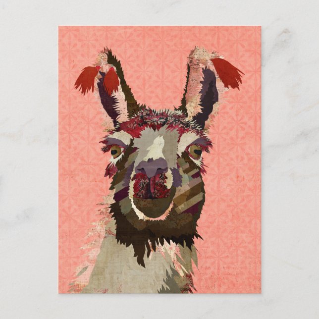 Carte postale ALPACA ROSE (Devant)