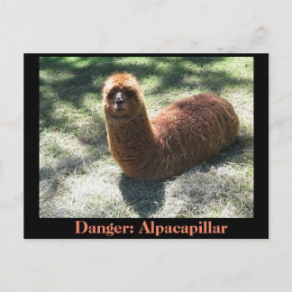 Carte Postale Alpacapillar