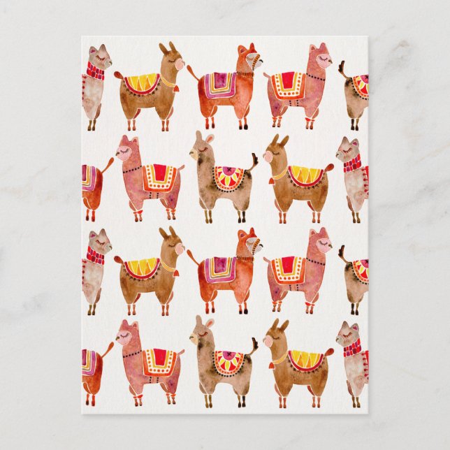Carte Postale Alpacas (Devant)