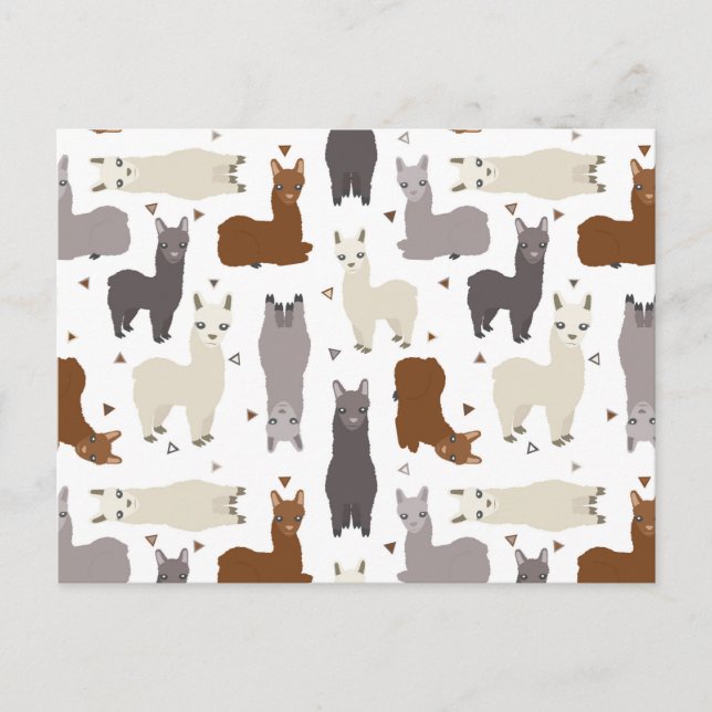 Carte Postale Alpacas Geo Motif (Devant)