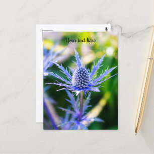 Carte postale Alpen Mannstreu