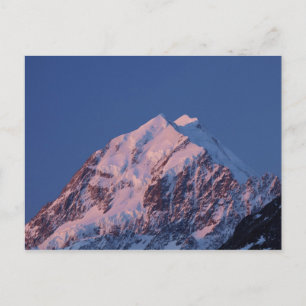 Carte Postale Alpenglow sur le mont Aoraki Cook, Mackenzie 2