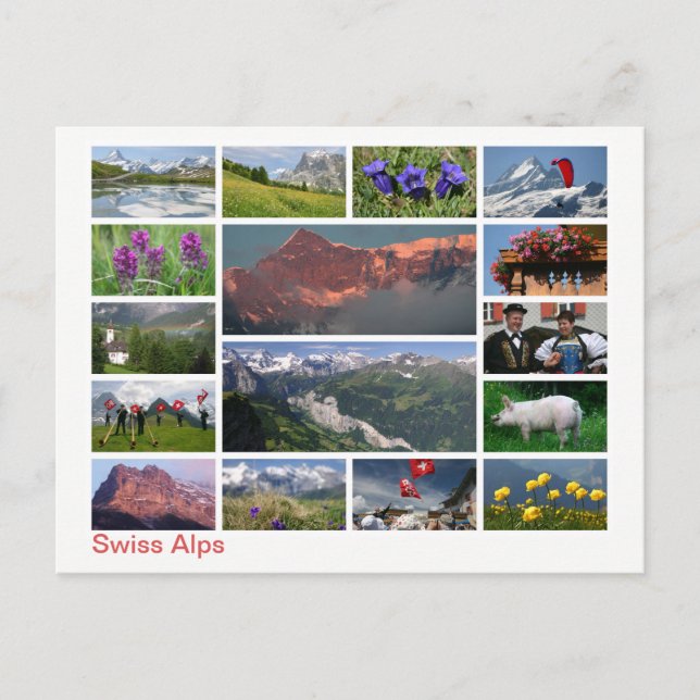 Carte Postale Alpes suisses multi-images (Devant)