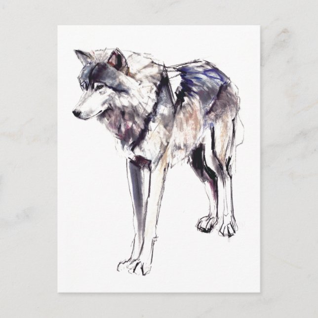 Carte Postale Alpha (Devant)