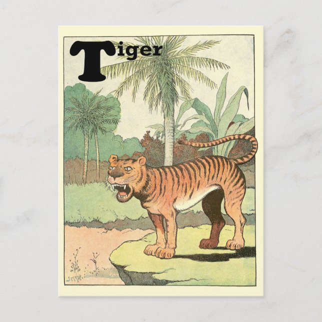 Carte Postale Alphabet animal de tigre de jungle (Devant)