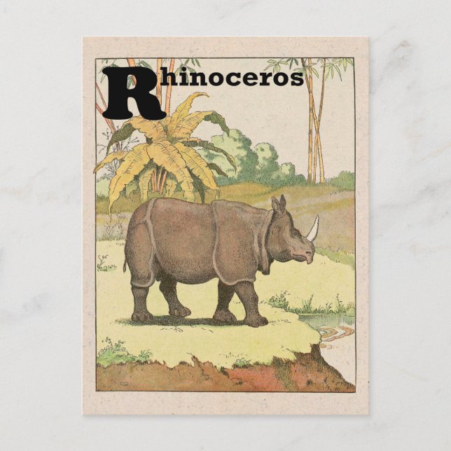 Carte Postale Alphabet Animal Rhinocéros (Devant)