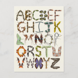Carte Postale Alphabet de bogue - Insecte Theme Kids Art