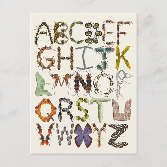 Carte Postale Alphabet de bogue - Insecte Theme Kids Art (Devant)