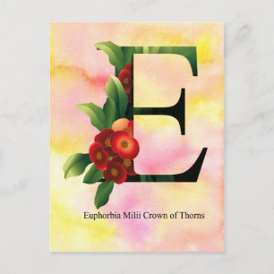 Carte Postale Alphabet de fleurs avec l'arrière - plan