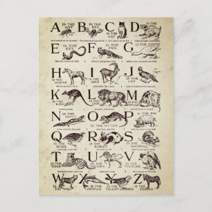 Carte Postale Alphabet Nursert Chart Vintage