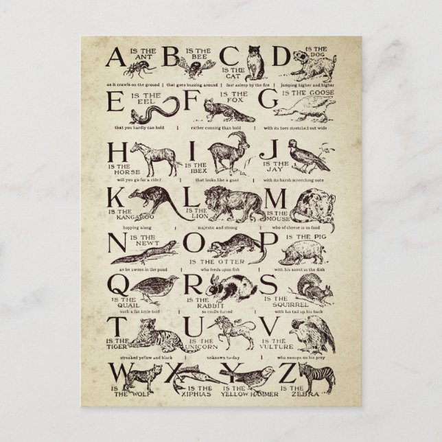 Carte Postale Alphabet Nursert Chart Vintage (Devant)