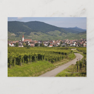Carte Postale Alsace, France