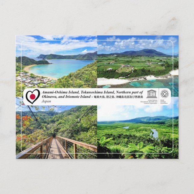 Carte Postale Amami-Oshima, Tokunoshima, Okinawa, Iriomote (Devant)