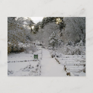 Carte Postale Amanecer Nevado