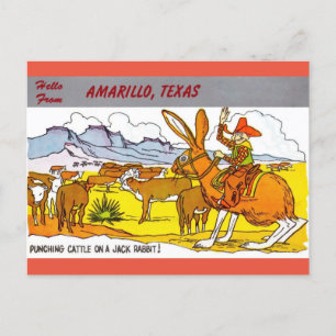 Carte Postale Amarillo, Texas Travel Greeting Cartoon Postcard