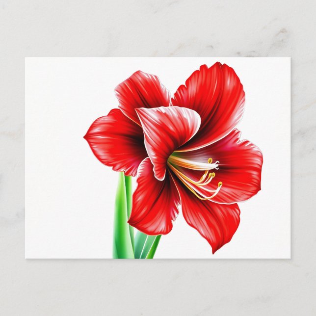 Carte Postale Amaryllis Rouge Vibrant à l'Aquarelle (Devant)