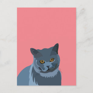 Carte Postale Amateur de chat gris bleu
