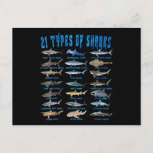 Carte Postale Amateurs De Requins 21 Types De Requins Animaux Oc