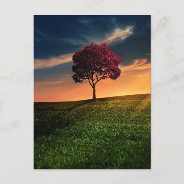 Carte Postale Amazing landscape with a Red Tree at Sunset (Devant)