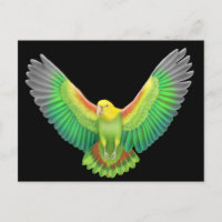 Amazonie à tête jaune double