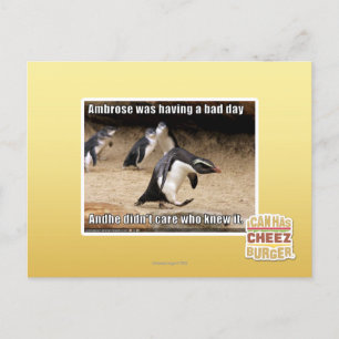 Carte Postale Ambrose passait une mauvaise journée