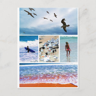 Carte postale Amelia Island Florida Seascape Photo