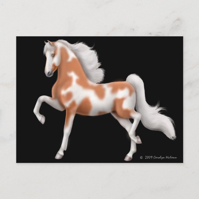 Carte postale américaine Saddlebred Pinto (Devant)