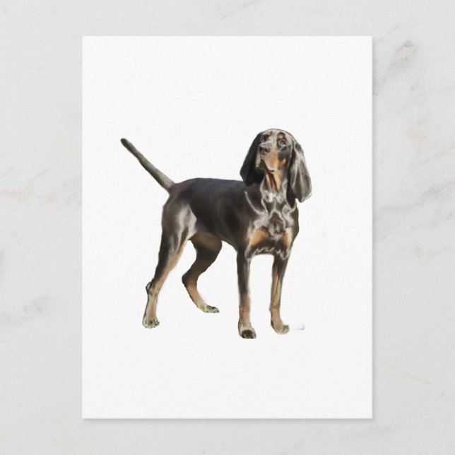 Carte Postale American Black and Tan Coon Hound (Devant)