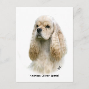 Carte Postale American Cocker Spaniel 9Y244D-035