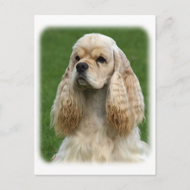 Carte Postale American Cocker Spaniel 9Y244D-035_2 (Devant)