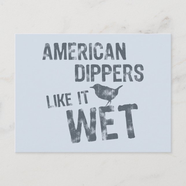 Carte Postale American Dippers Aime Ça Humide (Devant)