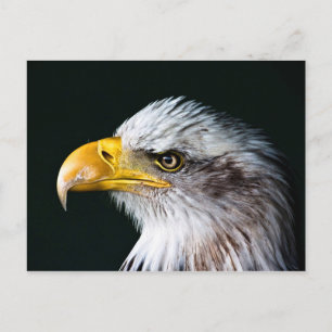 Carte postale American Eagle