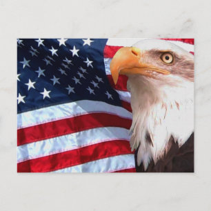 Carte postale American Eagle 6