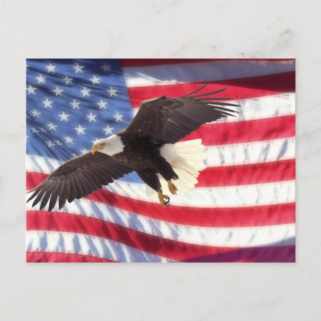 Carte Postale American Eagle and Flag Postcard (Devant)