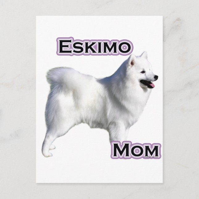 Carte Postale American Eskimo Chien Maman 4 (Devant)