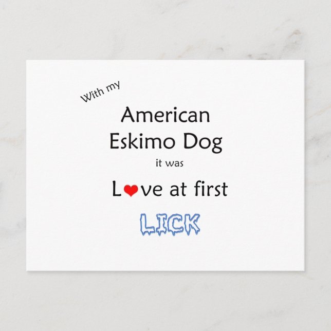 Carte Postale American Eskimo Dog Lick Design (Devant)