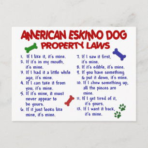 Carte Postale AMERICAN ESKIMO DOG Property Laits 2