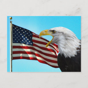 Carte postale American Flag et Bald Eagle