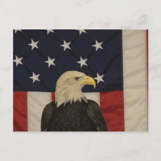 Carte postale American Flag et Bald Eagle