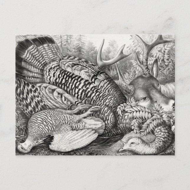 Carte postale "American Forest Game" (Devant)