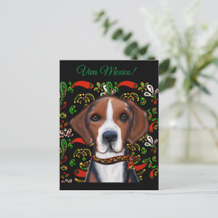 Carte Postale American Foxhound