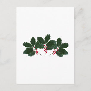 Carte Postale American Holly Feuilles - Berries