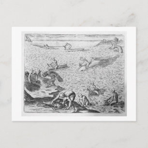 Carte Postale American Indian method of whaling, from an account