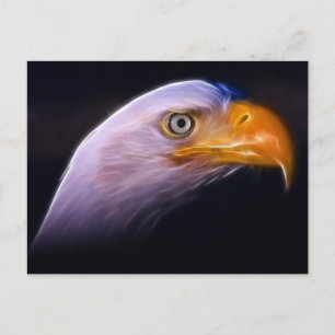 Carte Postale American Patriotic Bald Eagle, Symbole National