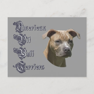 Carte postale American Pit Bull Terrier (APBT)