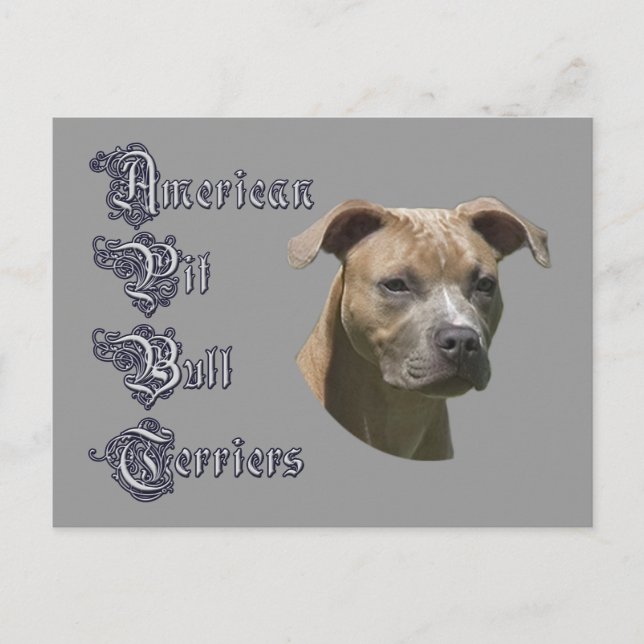 Carte postale American Pit Bull Terrier (APBT) (Devant)