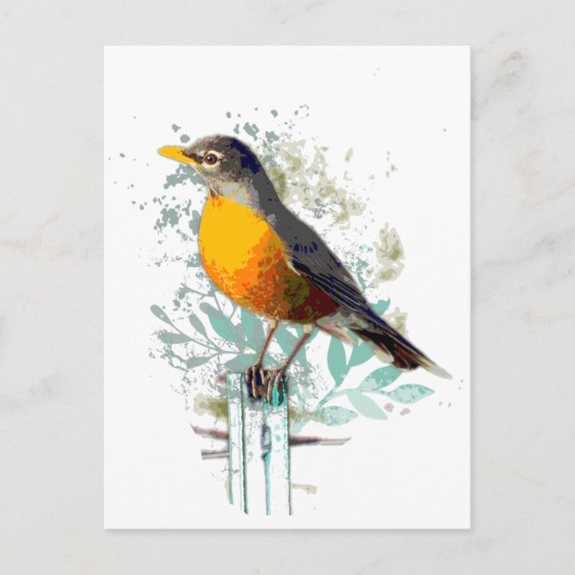 Carte Postale American Robin Garden Bird Wildlife Art Nature (Devant)