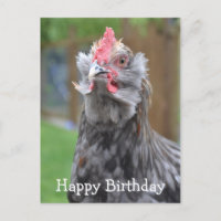 American Rooster Joyeux anniversaire