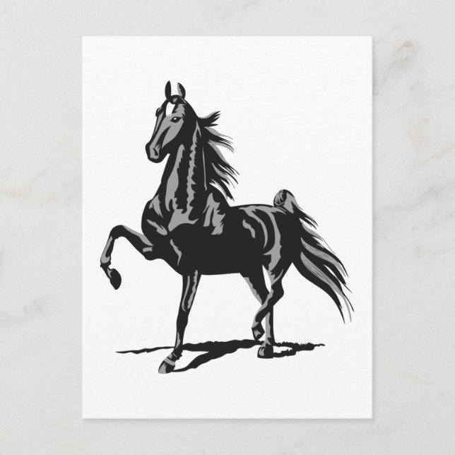 Carte Postale American Saddlebred (Devant)